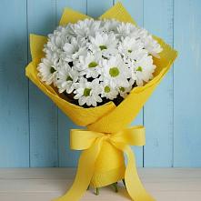 Букет цветов из:  Хризантемы в Брикет