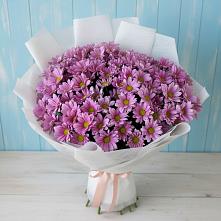 Букет цветов из:  Хризантемы #REPLACE_PRED# Брикет