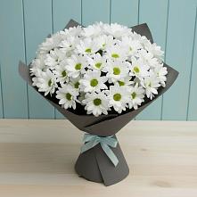 Букет цветов из:  Хризантемы в Брикет